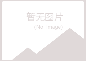 城阳区夏岚演艺有限公司